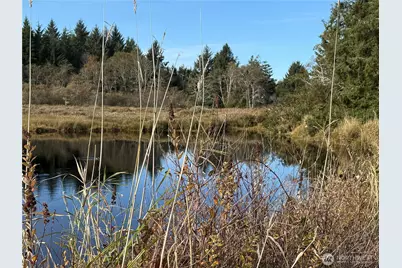 23804 Elm Lane, Ocean Park, WA 98640 - Photo 4