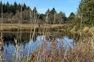 23804 Elm Ln, Ocean Park, WA 98640 - Photo 4