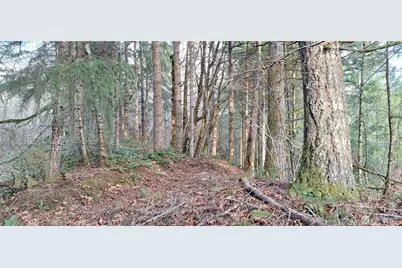 1586 King Road, Winlock, WA 98596 - Photo 6