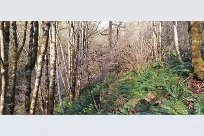 1586 King Road, Winlock, WA 98596 - Photo 22