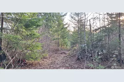 1586 King Road, Winlock, WA 98596 - Photo 8