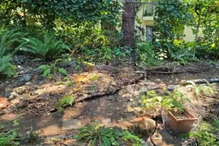 12527 NE 117th Pl, Kirkland, WA 98034 - Photo 20