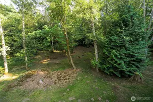 6241 Olson Rd, Ferndale, WA 98248 - Photo 36