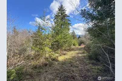 9999 Sponberg Lane, Port Angeles, WA 98363 - Photo 36