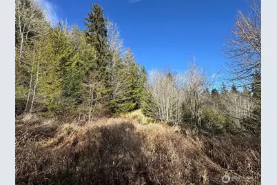 9999 Sponberg Lane, Port Angeles, WA 98363 - Photo 16