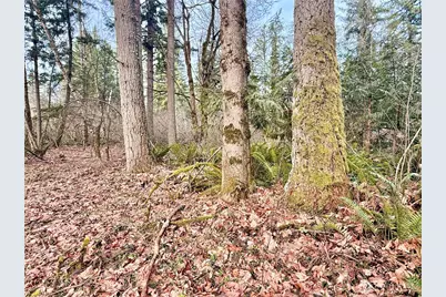 20403 SE 248th Street, Maple Valley, WA 98038 - Photo 20