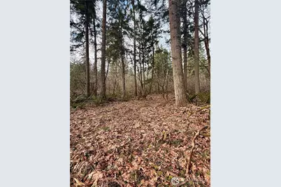 20403 SE 248th Street, Maple Valley, WA 98038 - Photo 36