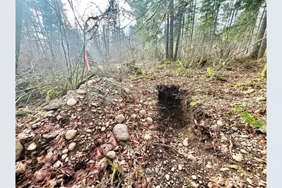 20403 SE 248th Street, Maple Valley, WA 98038 - Photo 34