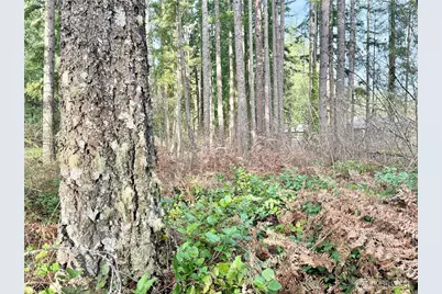 20403 SE 248th Street, Maple Valley, WA 98038 - Photo 14