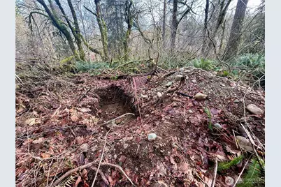 20403 SE 248th Street, Maple Valley, WA 98038 - Photo 26