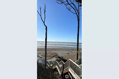 33 Fireside Lane, Pacific Beach, WA 98571 - Photo 40