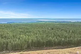 100 N Varden Way, Hoodsport, WA 98548 - Photo 30