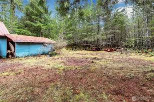 100 N Varden Way, Hoodsport, WA 98548 - Photo 10