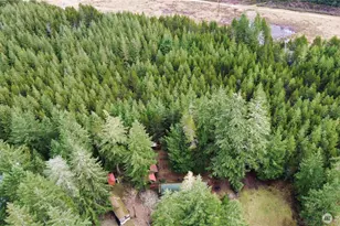 100 N Varden Way, Hoodsport, WA 98548 - Photo 26