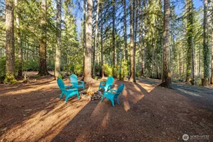 50 NE Cedar Ln, Tahuya, WA 98588 - Photo 26