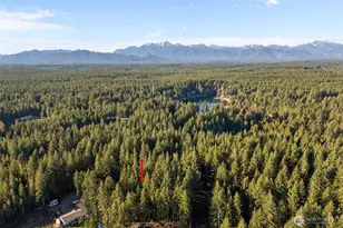 50 NE Cedar Ln, Tahuya, WA 98588 - Photo 28