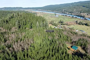 0 Parpala Rd, Naselle, WA 98638 - Photo 1