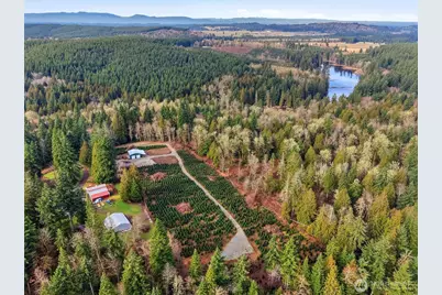 19420 Abbey Lane SE, Bucoda, WA 98530 - Photo 8