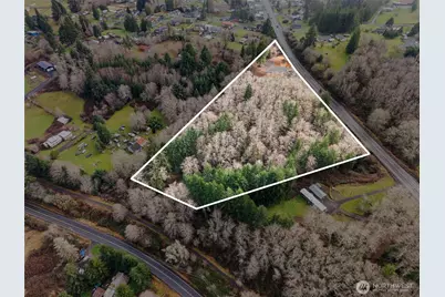 299 State Route 6, Raymond, WA 98577 - Photo 10