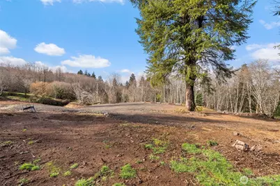 299 State Route 6, Raymond, WA 98577 - Photo 8