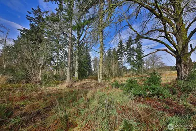 0 Goss Lake Road, Freeland, WA 98249 - Photo 8