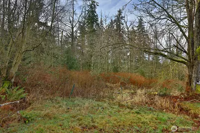 0 Goss Lake Road, Freeland, WA 98249 - Photo 6