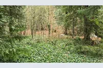 7884 Santa Fe Trail, Maple Falls, WA 98266 - Photo 1