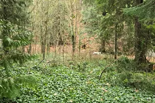 7884 Santa Fe Trail, Maple Falls, WA 98266 - Photo 1