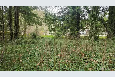 7884 Santa Fe Trail, Maple Falls, WA 98266 - Photo 6