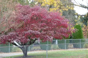 5330 SW 315th St, Federal Way, WA 98023 - Photo 26