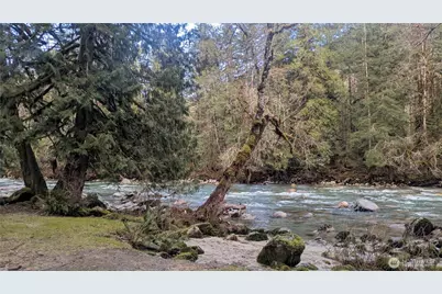 0 Cascade River Rd #D1-203, Marblemount, WA 98267 - Photo 30