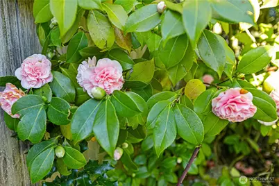 16326 Lake Hills Boulevard, Bellevue, WA 98008 - Photo 28