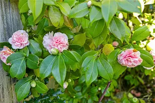 16326 Lake Hills Blvd, Bellevue, WA 98008 - Photo 28