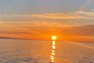 4523 Merlot (Lot101) St, Blaine, WA 98230 - Photo 8