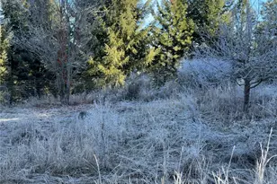 331 Corbett Creek Rd, Colville, WA 99114 - Photo 28