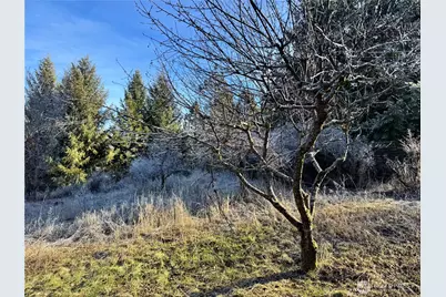 331 Corbett Creek Road, Colville, WA 99114 - Photo 26