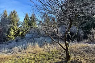 331 Corbett Creek Rd, Colville, WA 99114 - Photo 26