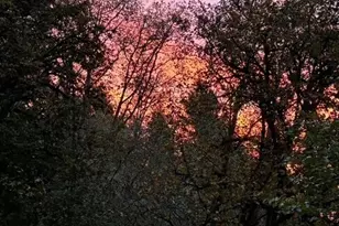 7680 SE Southworth Dr, Port Orchard, WA 98366 - Photo 40