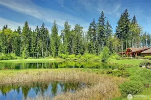 23042 NE 128th Pl, Redmond, WA 98053 - Photo 32