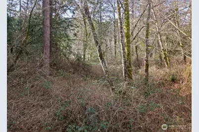 0 Olalla Valley Road SE, Olalla, WA 98359 - Photo 6