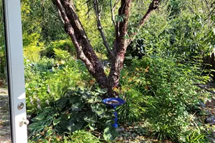 3929 205th Pl SW, Lynnwood, WA 98036 - Photo 30