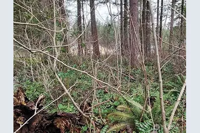 355 Xx 312th St Way SE, Enumclaw, WA 98022 - Photo 20