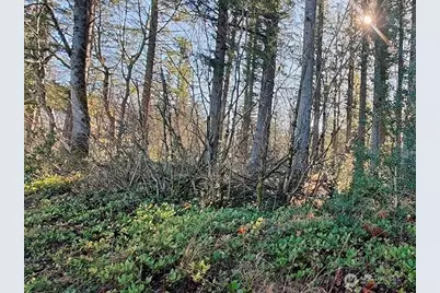 355 Xx 312th St Way SE, Enumclaw, WA 98022 - Photo 4