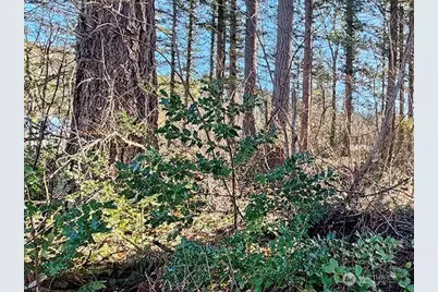 355 Xx 312th St Way SE, Enumclaw, WA 98022 - Photo 6