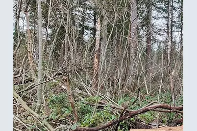 355 Xx 312th St Way SE, Enumclaw, WA 98022 - Photo 26