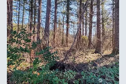 355 Xx 312th St Way SE, Enumclaw, WA 98022 - Photo 8