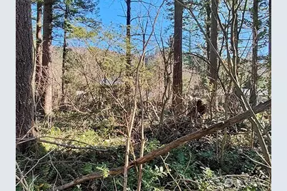 355 Xx 312th St Way SE, Enumclaw, WA 98022 - Photo 10