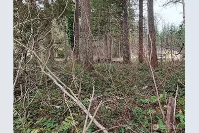 355 Xx 312th St Way SE, Enumclaw, WA 98022 - Photo 18