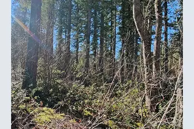 355 Xx 312th St Way SE, Enumclaw, WA 98022 - Photo 2