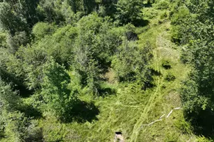 36204 108th Ave Ct E, Eatonville, WA 98328 - Photo 22